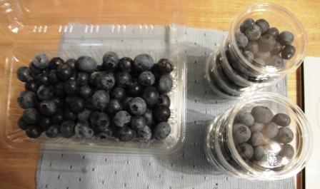 ブルーベリー