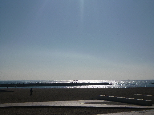 P1150134(1).JPG