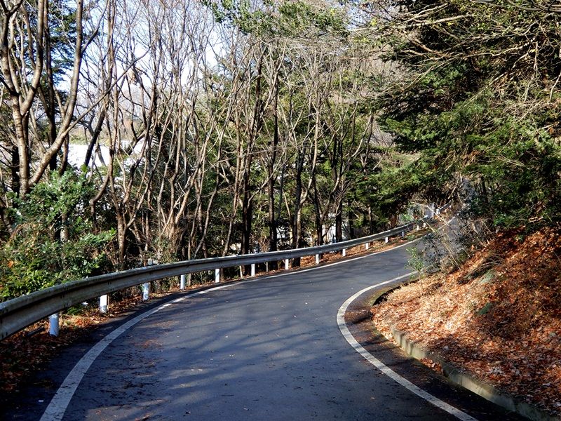 遊歩道2