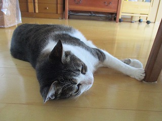 IMG_8199ss.jpg