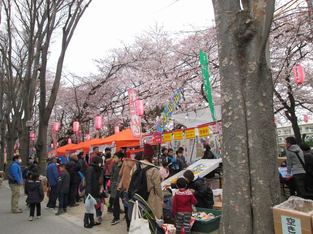 桜祭り_1001.jpg