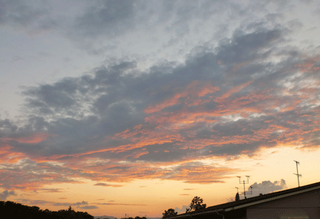 雲の蒲焼き