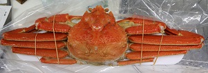5DA_2302-1.jpg
