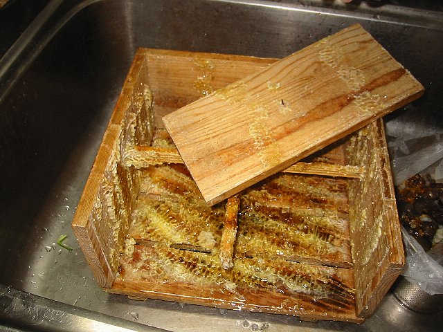 20120609_001.jpg