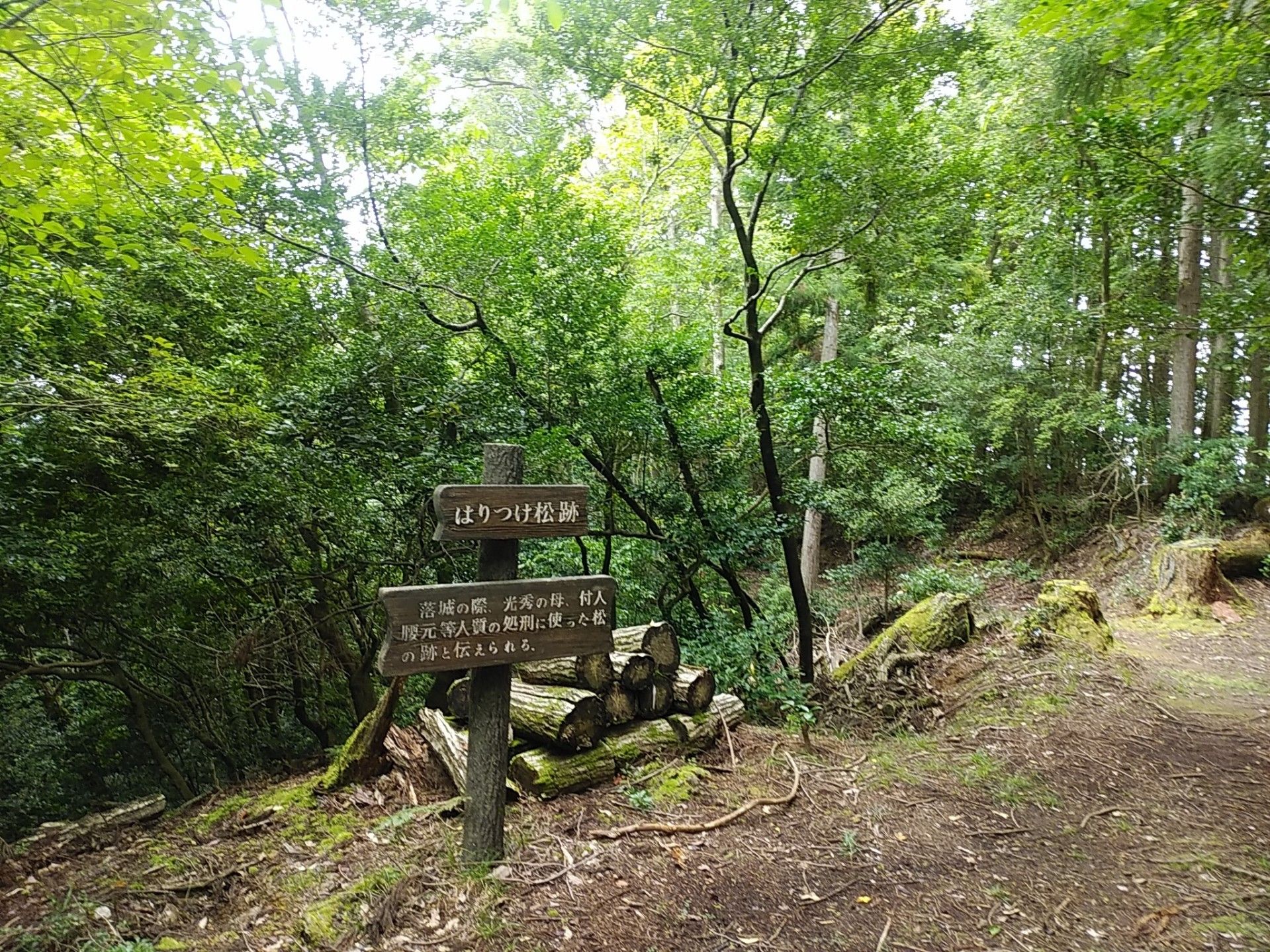 高城山 八上城趾 こた こたやんの寺子屋日記 楽天ブログ