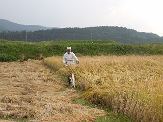 DSCN7411.jpg