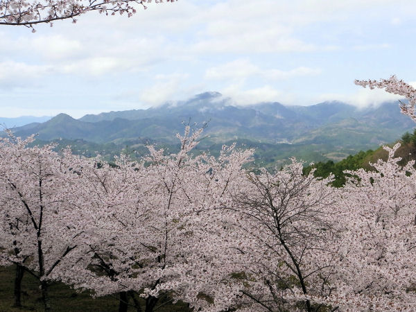 嶽山０１