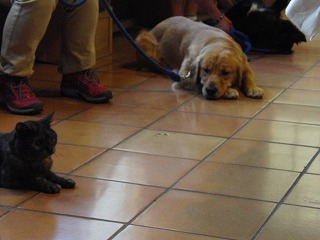 作業用画像その２ 298.jpg