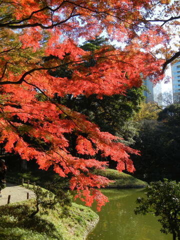 小石川後楽園