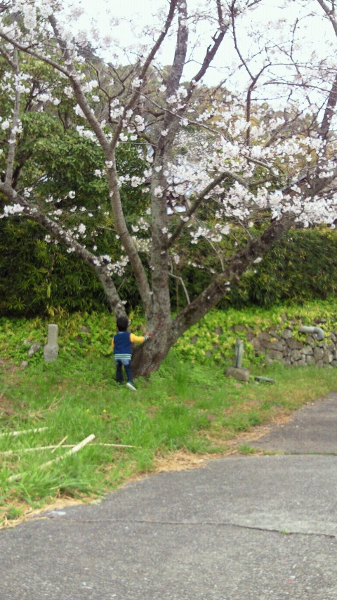 2013033110160000.jpg
