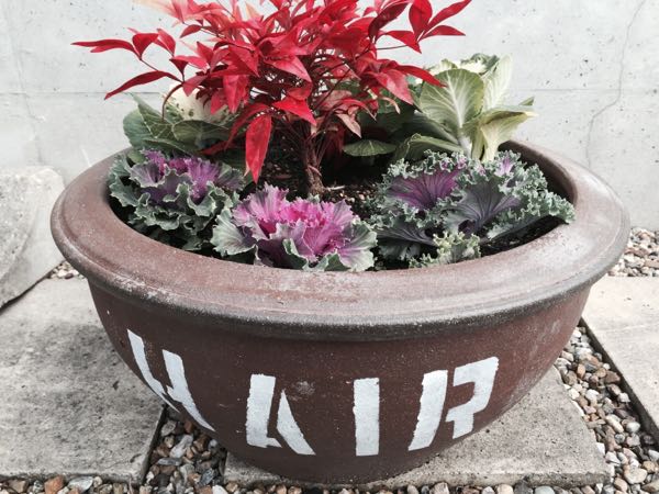 rblog-20151211170227-02.jpg