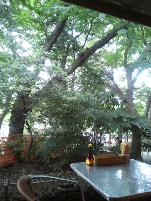 201208 050.jpg