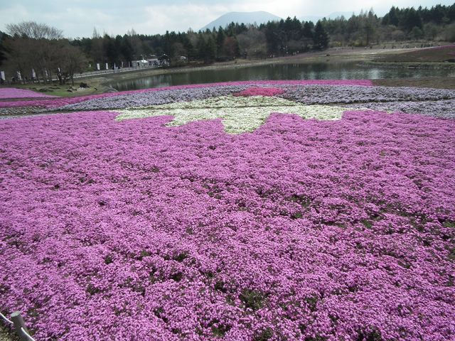 DSCF3826.JPG