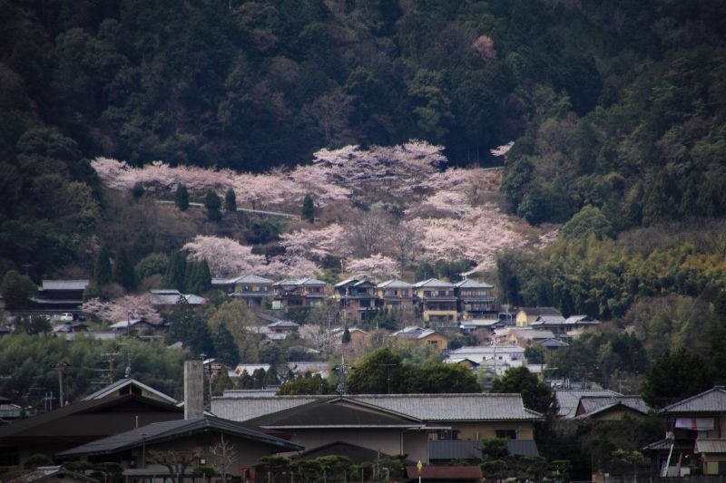 広沢の池_002.jpg