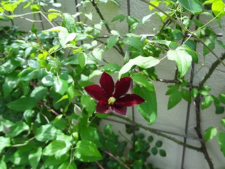 DSC00943.jpg