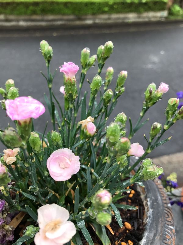 rblog-20190426180928-04.jpg