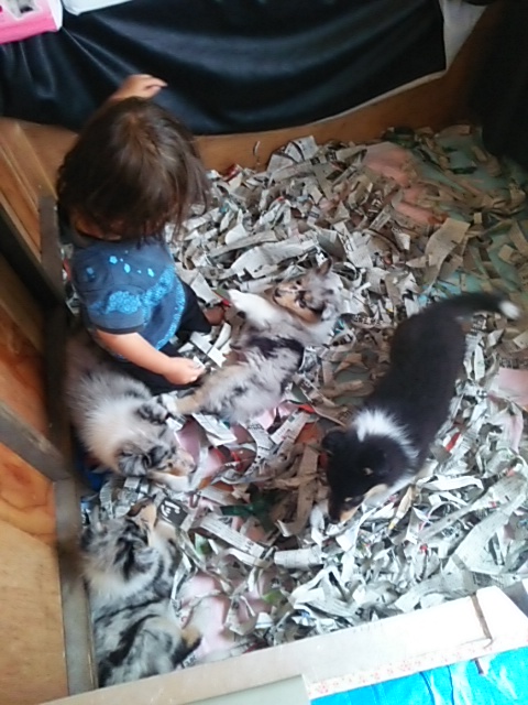 20140725100807.jpg