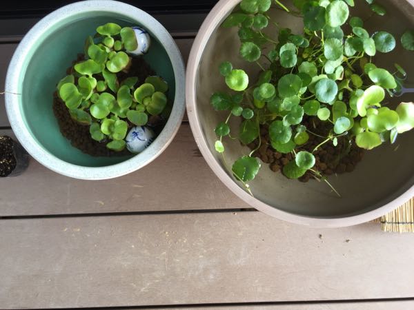 rblog-20180721111424-00.jpg