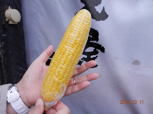DSCN8412.jpg