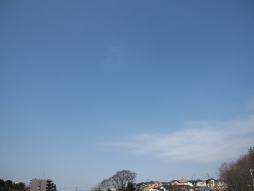 IMG_8037.JPG