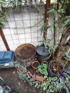 DSC00189.jpg