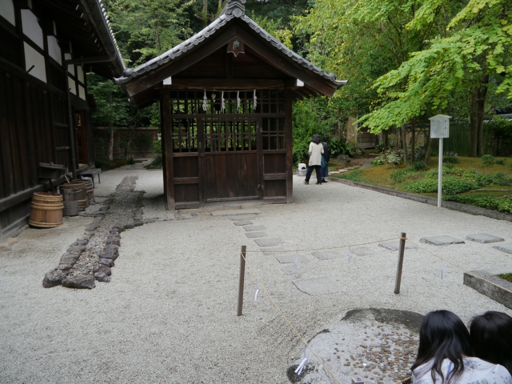 P1090072.JPG
