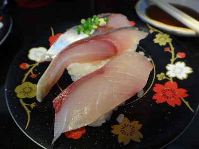 DSC04047.jpg