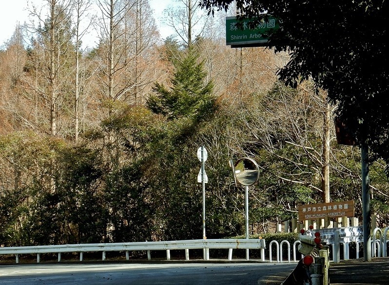 植物園への道 6.JPG