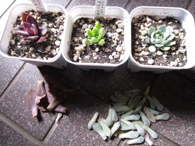 20120406b