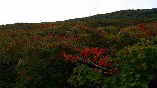 s-20140911月山紅葉.jpg