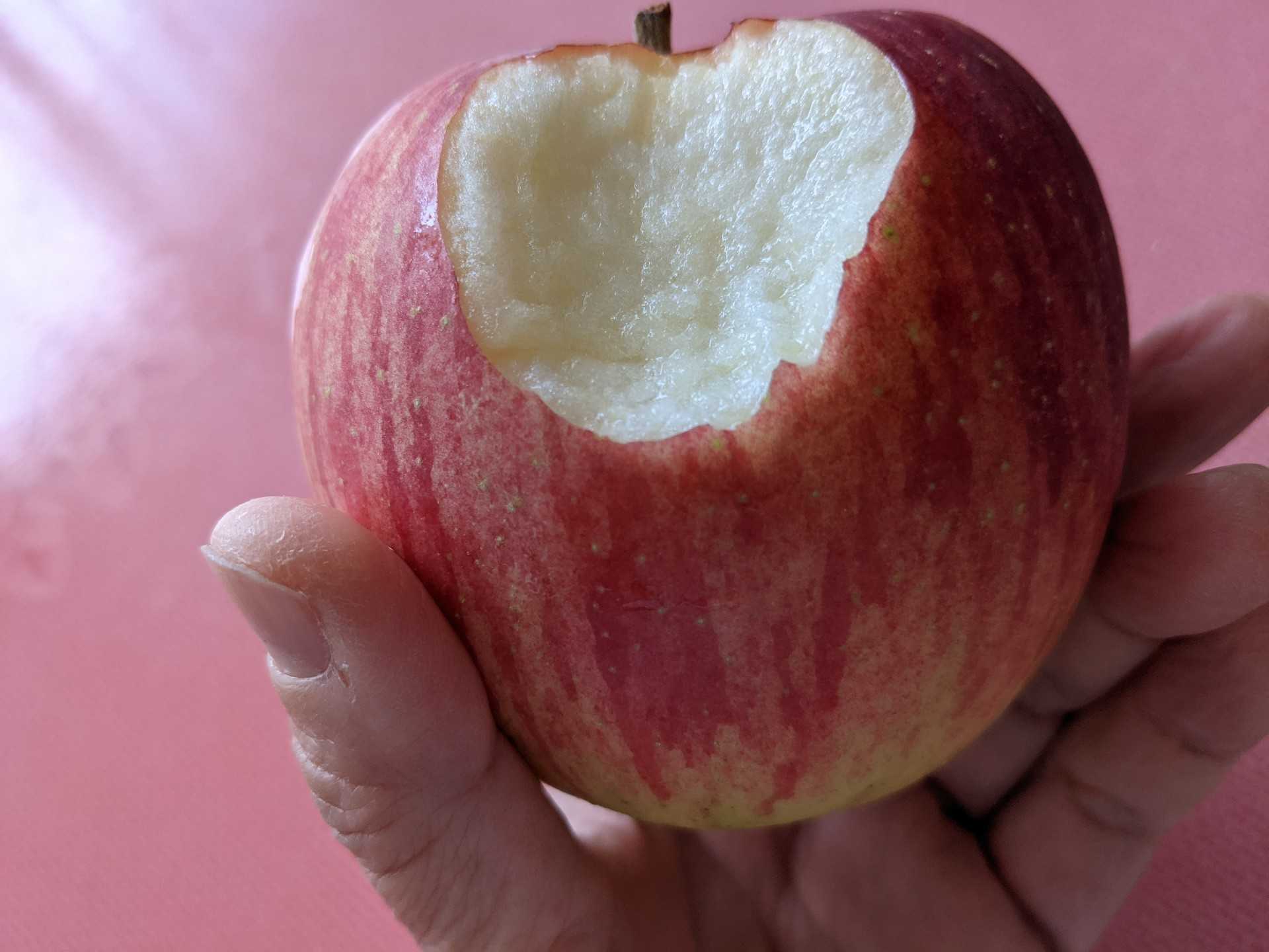 りんごをかじったら血が出ませんかぁ 桜咲いたらいいね 楽天ブログ