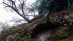 第5回? 早朝ウォーキング_489.jpg