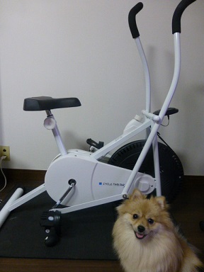 P1000340.JPG
