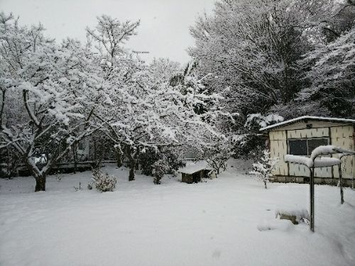 rblog-20180203071631-01.jpg