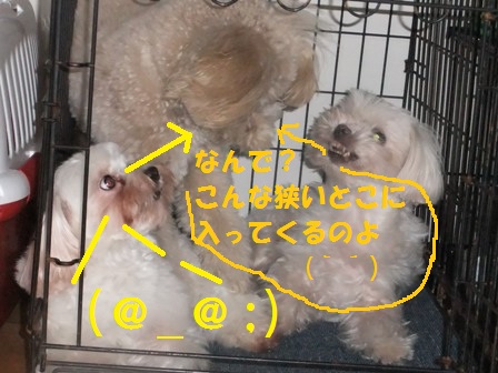 DSCF5233.JPG