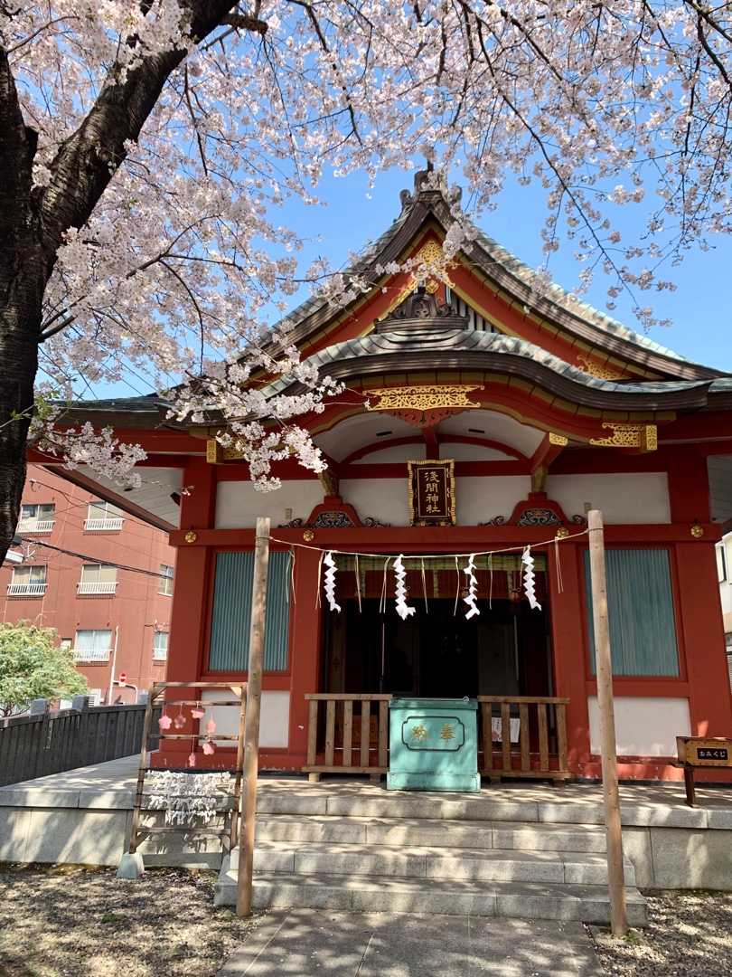 浅草富士浅間神社 浅草さくら詣 わたしのブログ By H I 楽天ブログ 浅草富士浅間神社 浅草さくら詣 わたしのブログ By H I 楽天ブログ