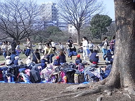 304公園で保育園児親子ゲーム2