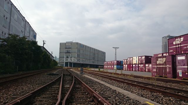 2014-10-26 12.31.13.jpg