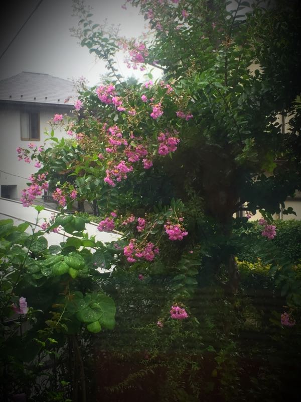 rblog-20150826083002-05.jpg