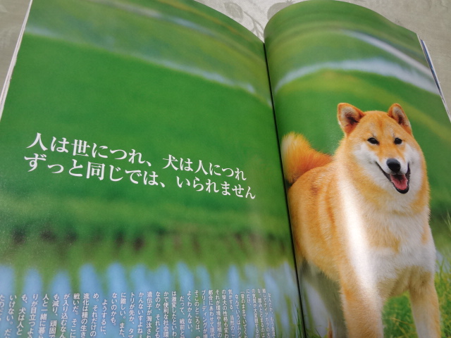 DSC01114.JPG