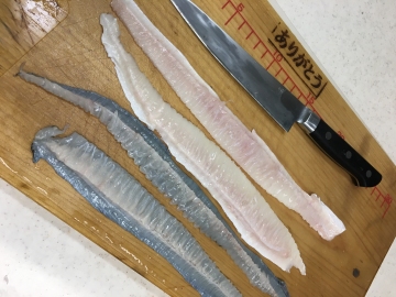 161001ヒラメのエンガワ