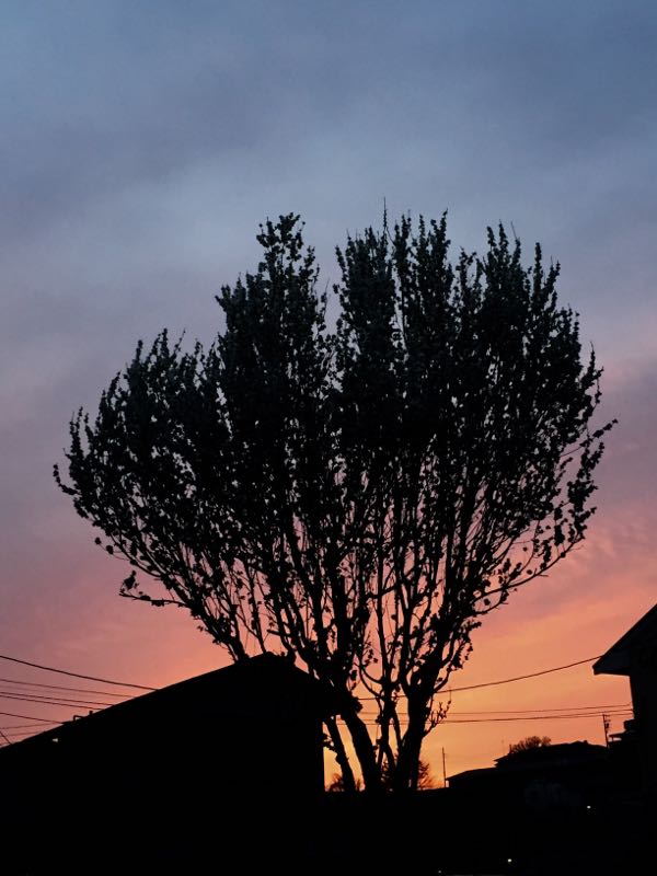 rblog-20160409222247-01.jpg