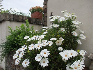 IMG_9655ss.jpg