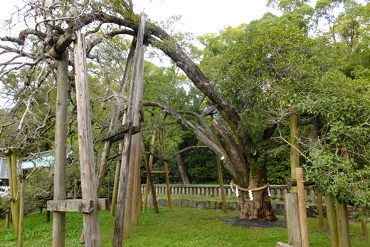 DSCF5788.jpg