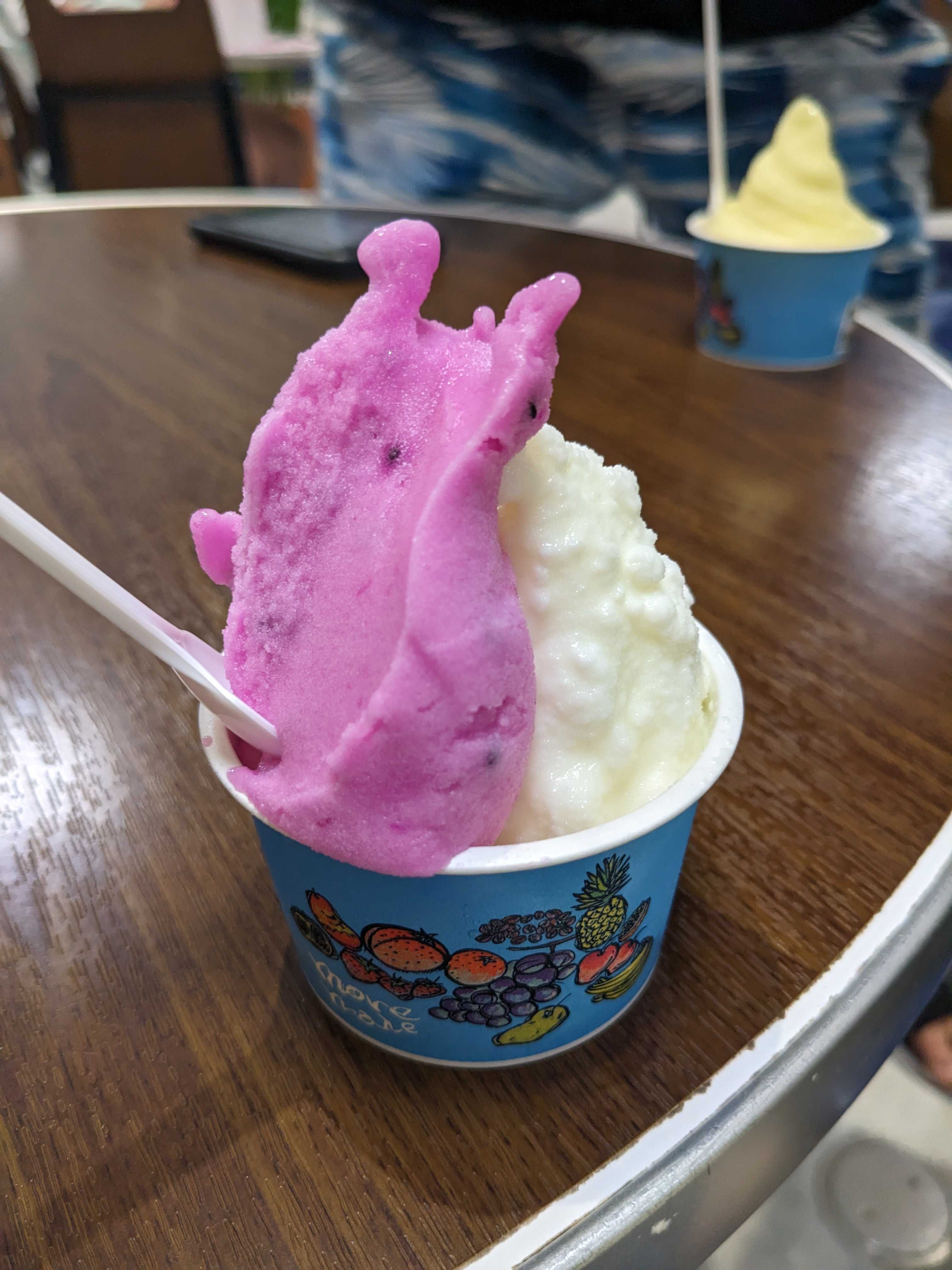 美ら海水族館　カフェMore Mareのアイス