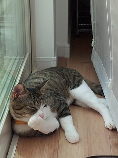 2013-07-02 13.26.59ss.jpg