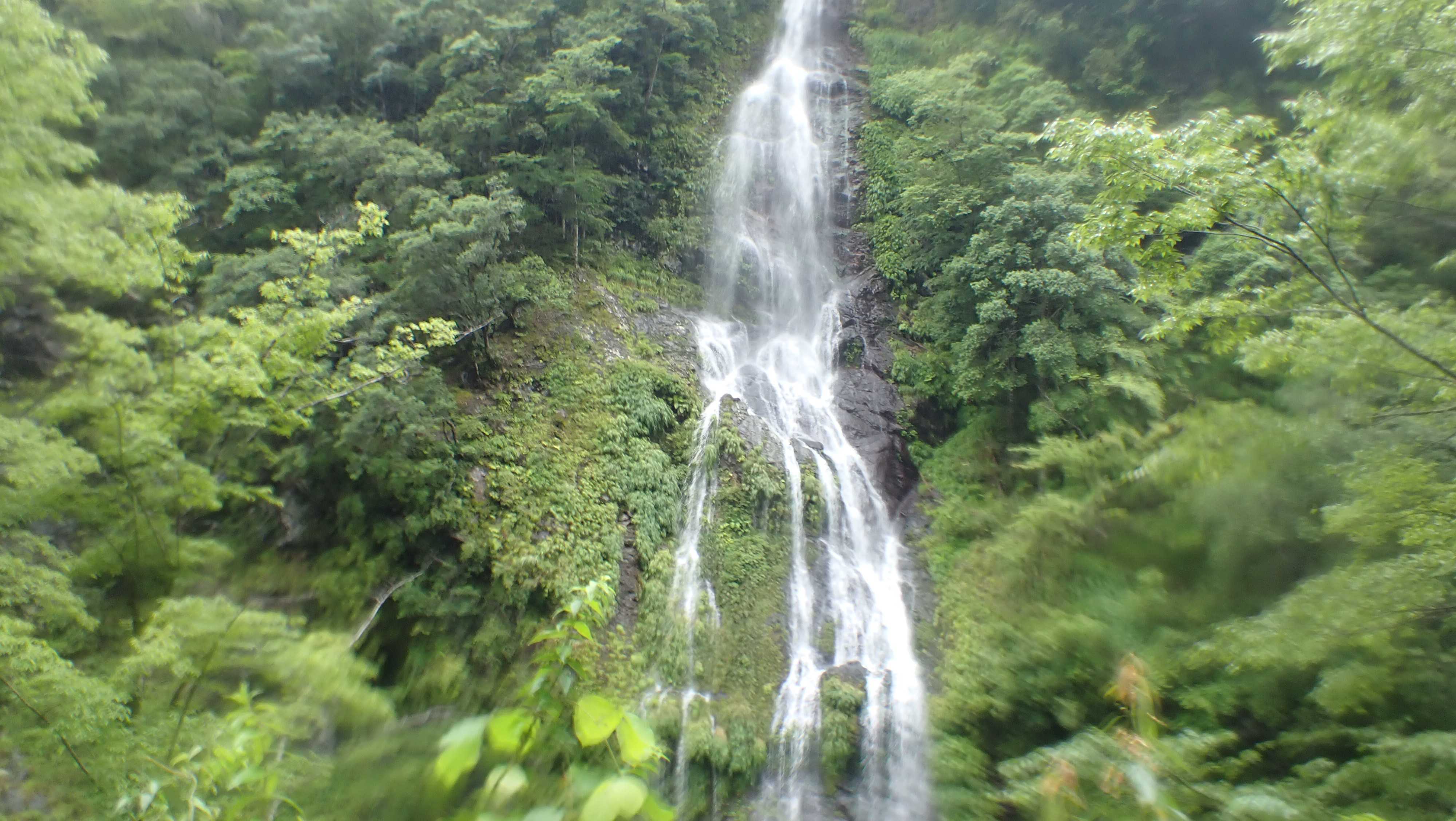 雨の中～奈良県・十津川 | 「おいやん」の鮎掛け - 楽天ブログ