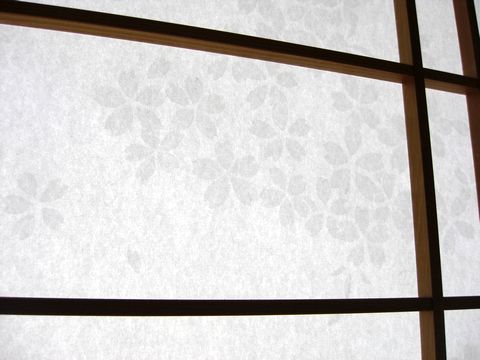 デジカメ 1080.jpg