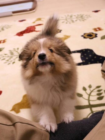 1425886829540 (2).jpg