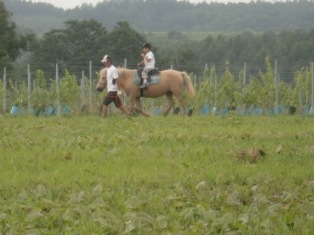 乗馬体験.JPG